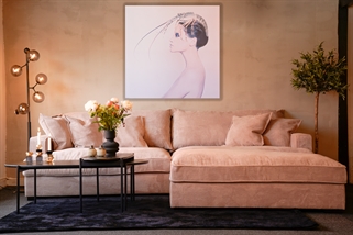 Fløjls sofa